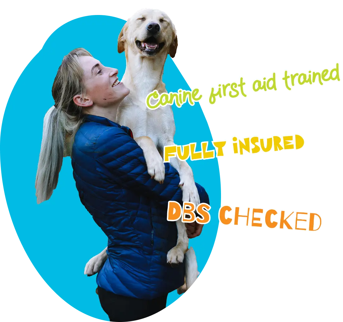DBS checked, canine first aid trained, fully insured
