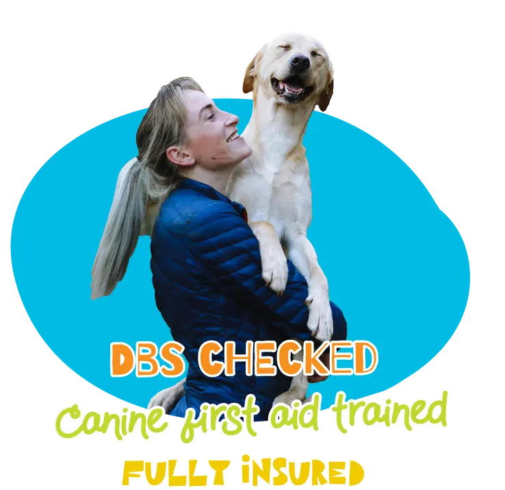 DBS checked, canine first aid trained, fully insured